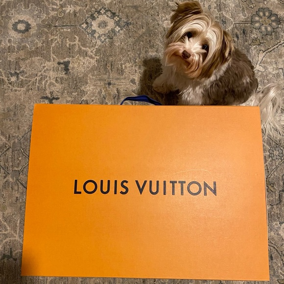 COPY - BRAND NEW Authentic Louis Vuitton XXL Luggage Box - Picture 7 of 16